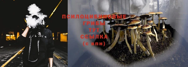 трава Абаза
