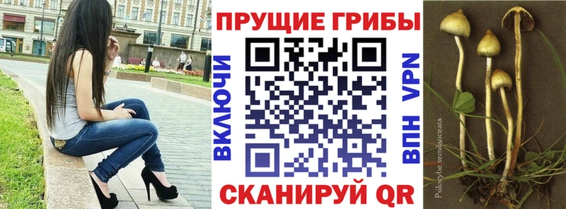 сайты даркнета наркотические препараты  Аксай  Псилоцибиновые грибы прущие грибы 