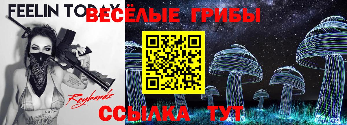 где можно купить наркотик  Вход с VPN  Аксай  Галлюциногенные грибы прущие грибы 